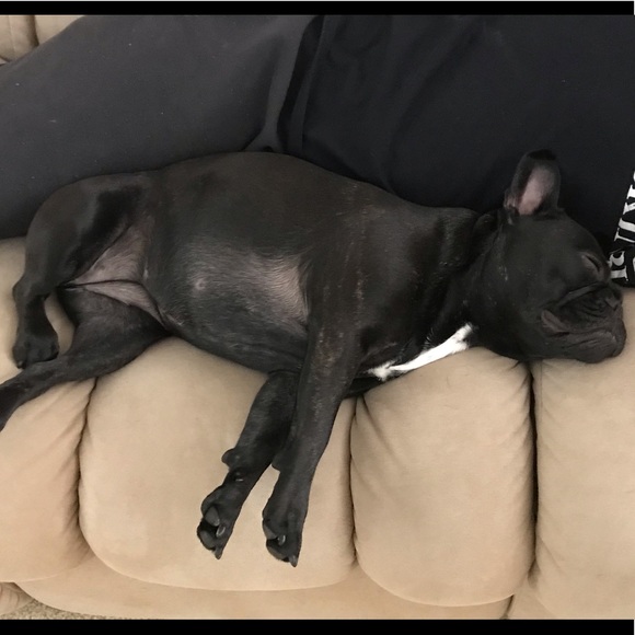 Meet your Posher, Debi - Picture 14 of 15